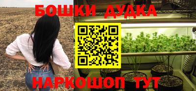 бошки Будённовск