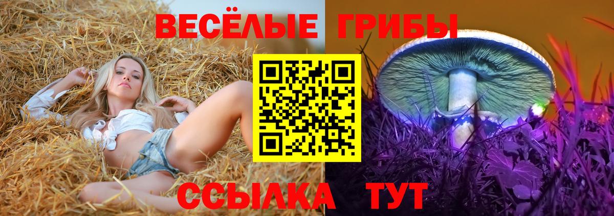 Псилоцибиновые грибы MAGIC MUSHROOMS Черемхово