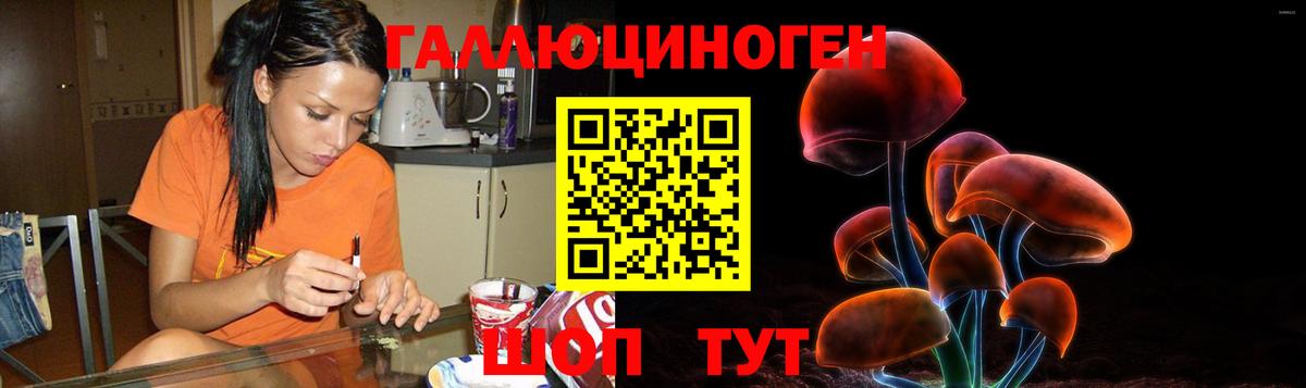 Галлюциногенные грибы мухоморы  Вход с VPN  Черемхово 